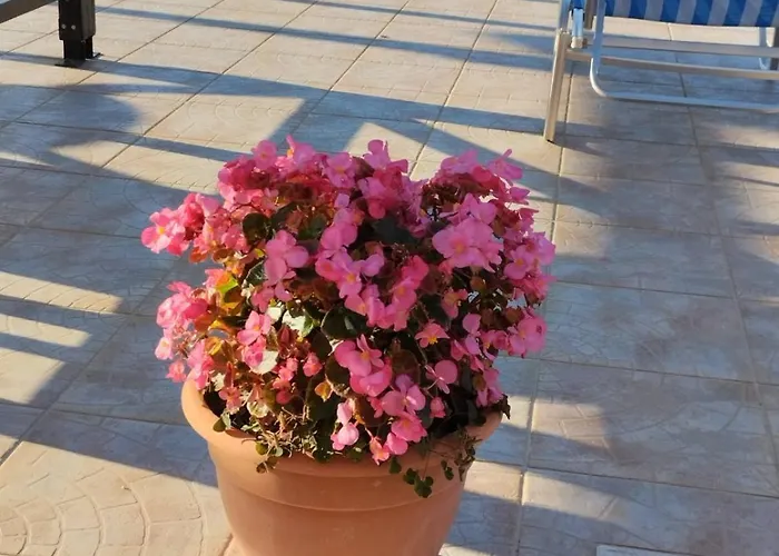 Amarandos 3* Tsoukaládhes